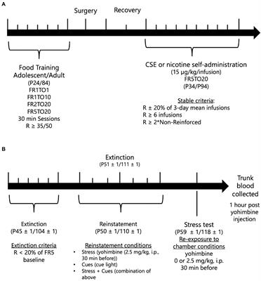 Impact of tobacco smoke constituents on nicotine-seeking behavior in adolescent and adult male rats